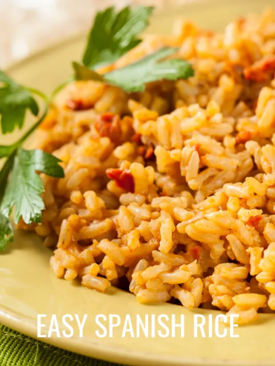 spanish rice on plate garnished with parsley
