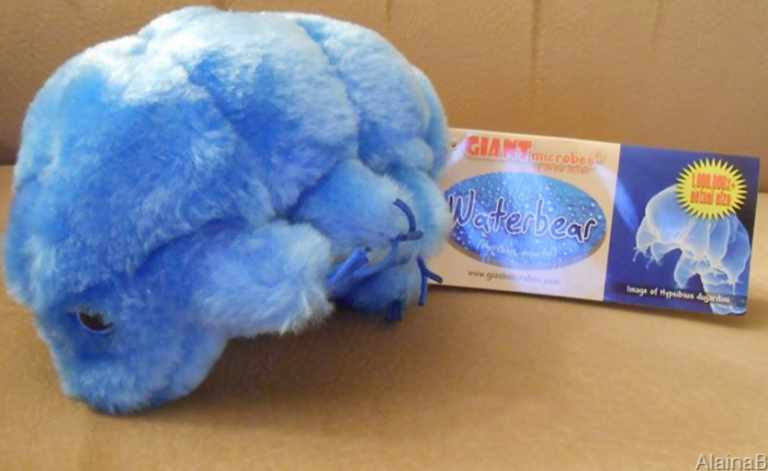 The Microorganism Everyone Wants! Giant Microbes