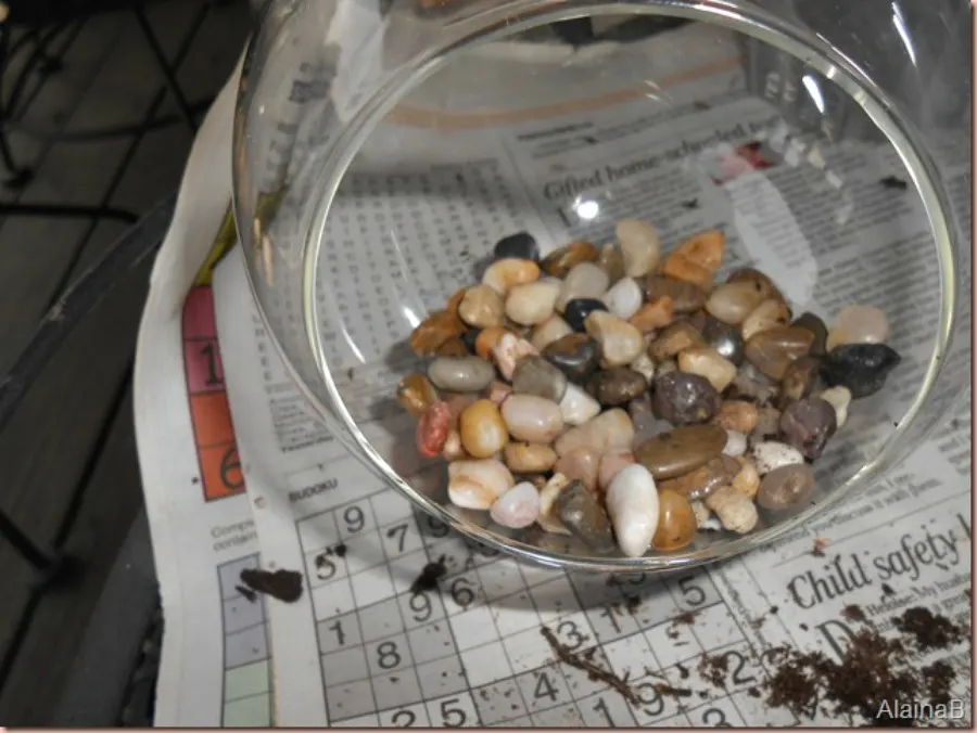 DIY terrarium add rocks for drainage