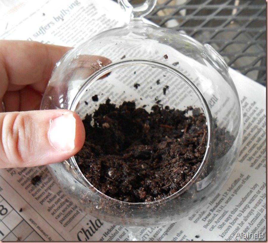 DIY terrarium add soil