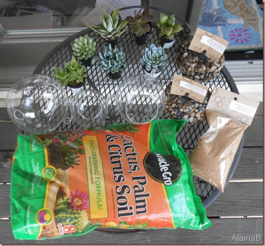 DIY terrarium supplies