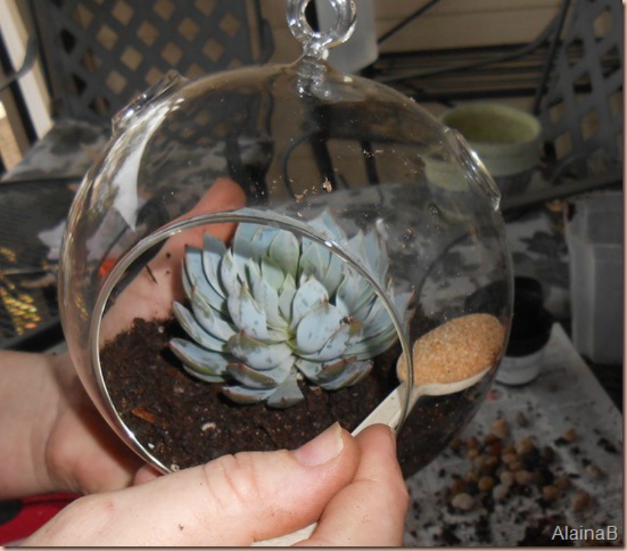 DIY terrarium top with some sand for decor