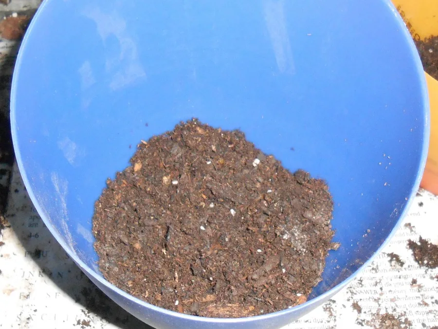 container gardening-Miracle-Gro-The-Gro-Project-place-little-soil-bottom-of-planter