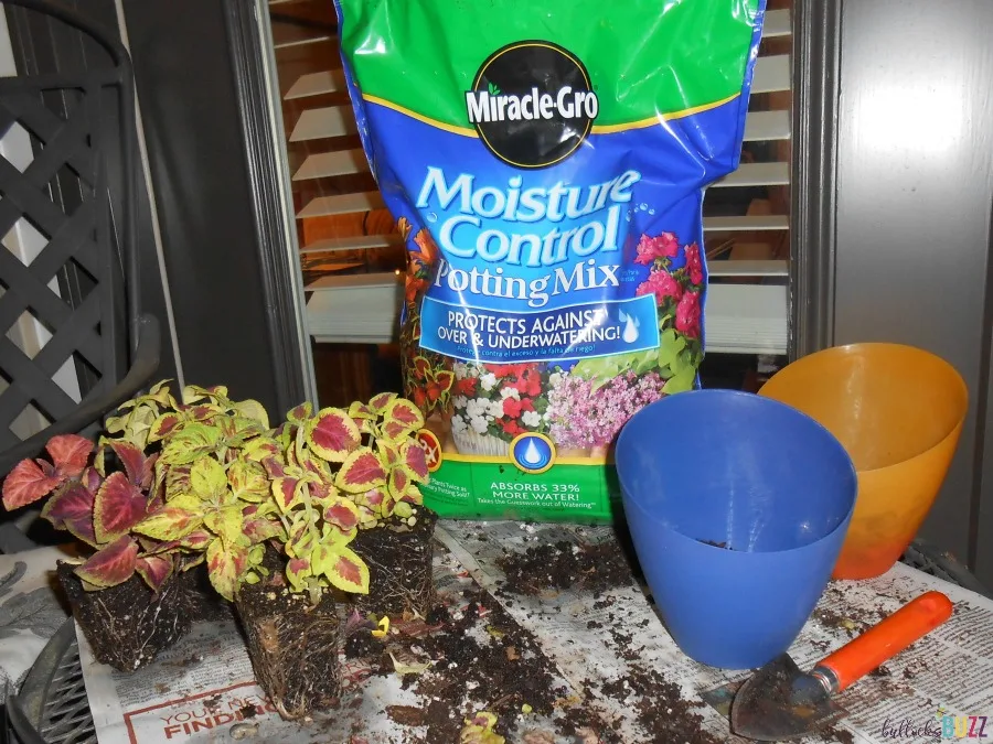 container gardening-supplies