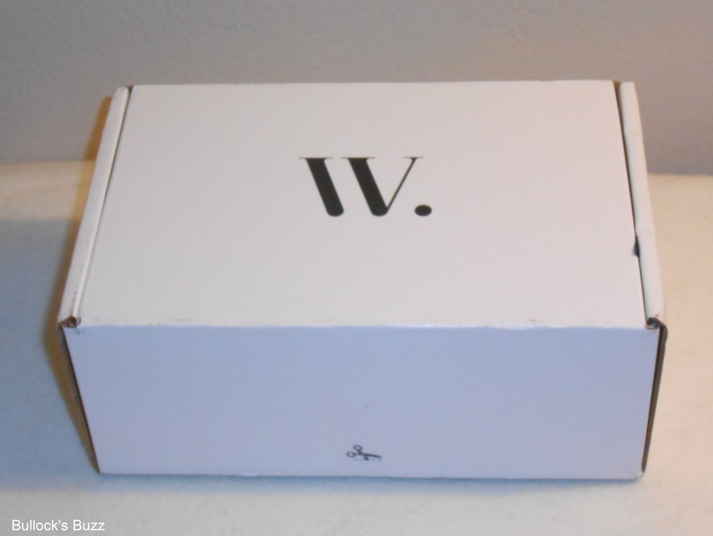 Wantable Review August's Accessory Box Bullock's Buzz