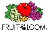 fruitoftheloomlogo
