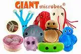 giantmicrobeslogo2