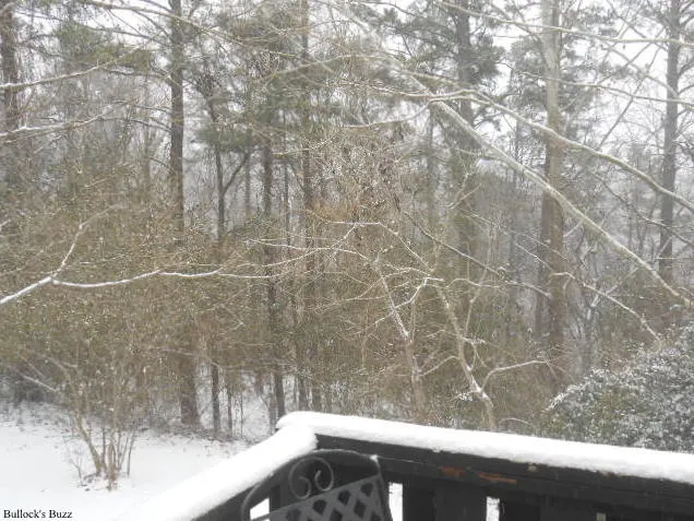 Jan282014snowstormpicssoupreview1