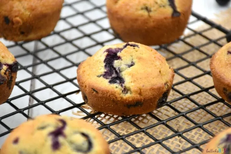 made from scratch blueberry muffins on cooling rack