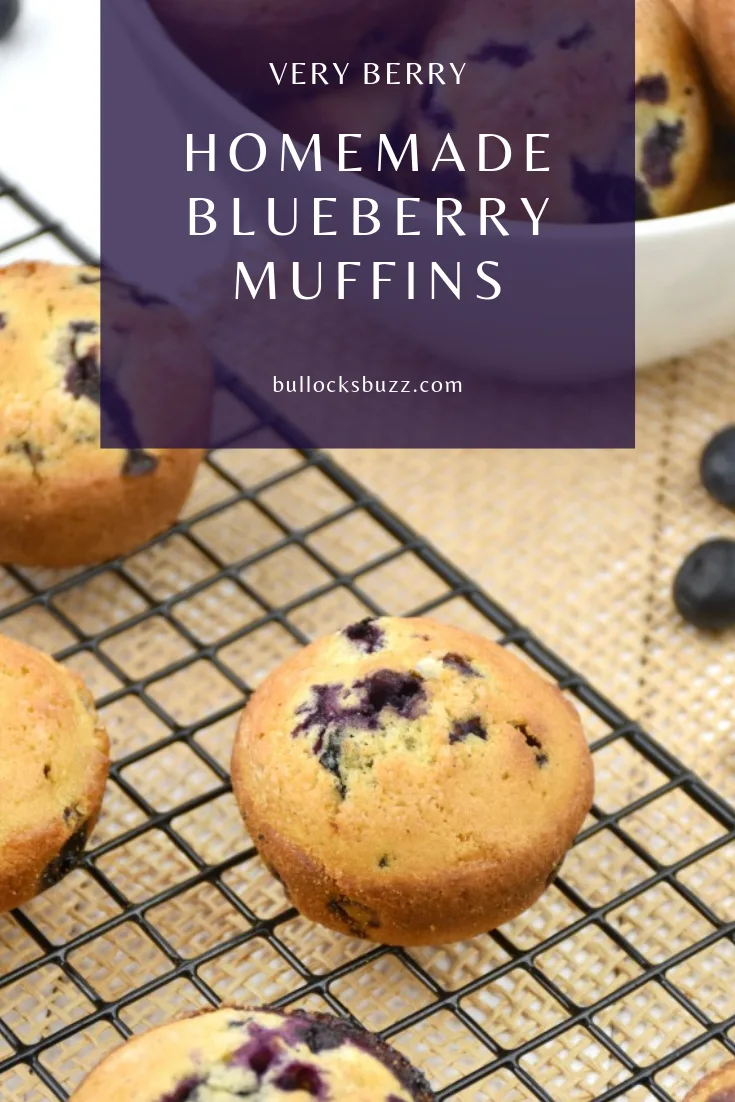 With crunchy top and moist tender insides, these homemade blueberry muffins are sure to become a family favorite!