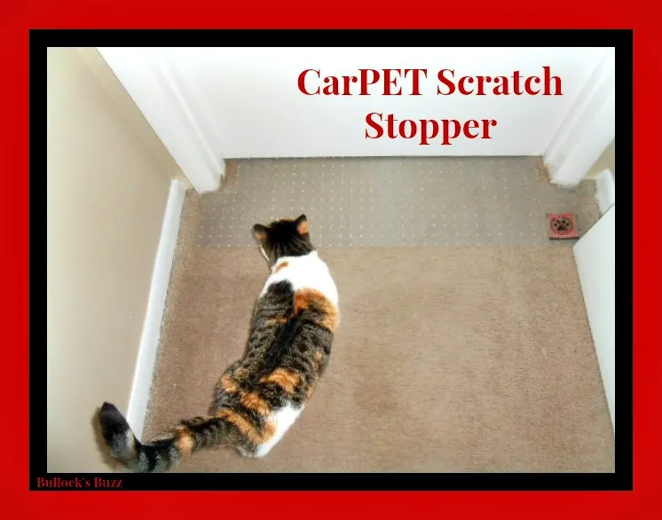CarPET Scratch Stopper Review4