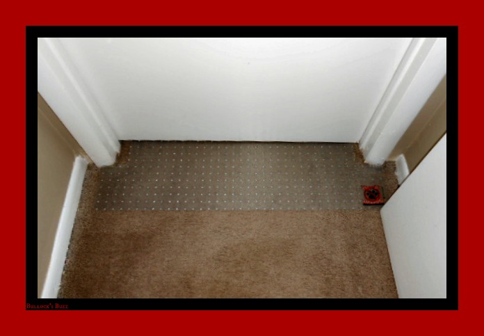 CarPET Scratch Stopper Review5 Overhead Shot