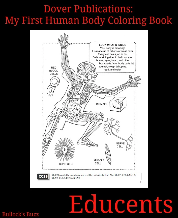 Educents Dover Publications My First Human Body Coloring Book Review2 Sample Page