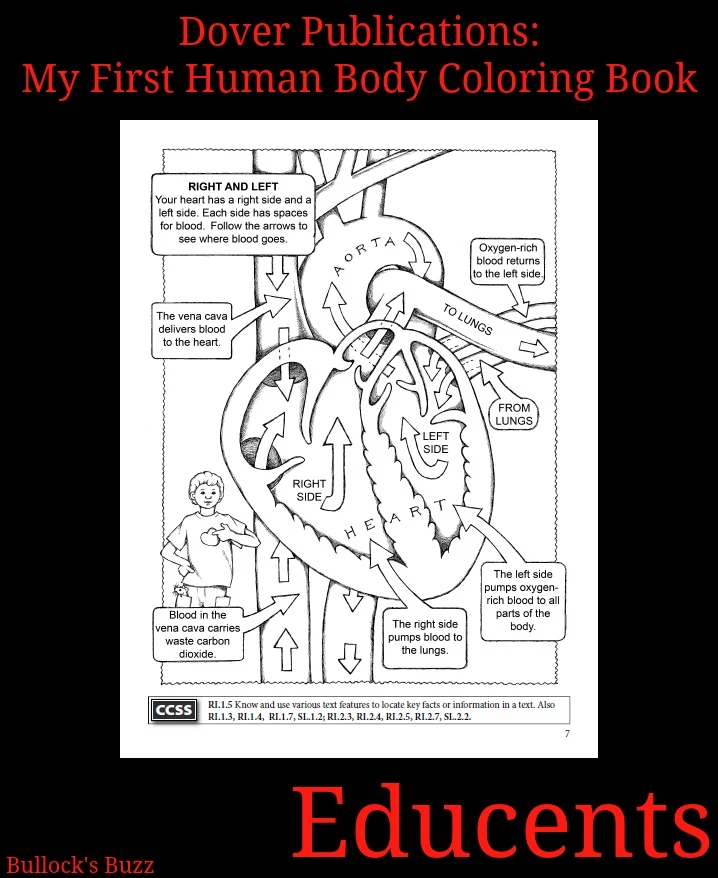 Educents Dover Publications My First Human Body Coloring Book Review3 Sample Page
