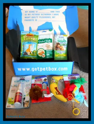 PetBoxReview3