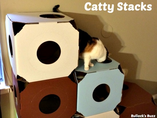 Catty-Stacks-review15