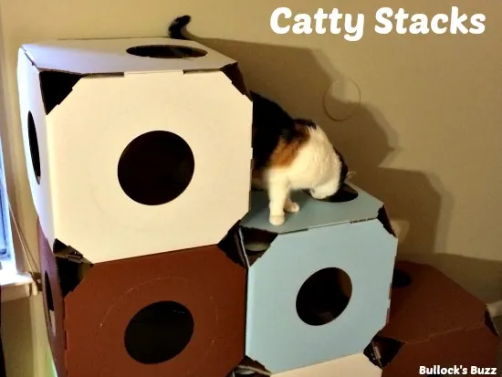 Catty-Stacks-review15
