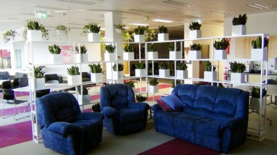 Greenwall-with-Sansevieria-600x337-indoor-plants1