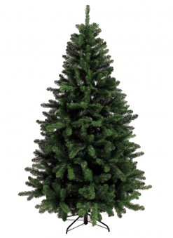 Memphis-Spruce-Christmas-Tree-247x339