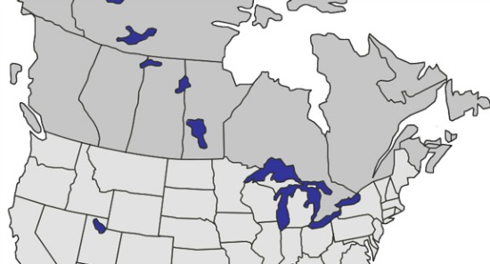 us_canada_map1a