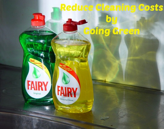 reduce-cleaning-costs-by-going-green-fairy-bottles1b