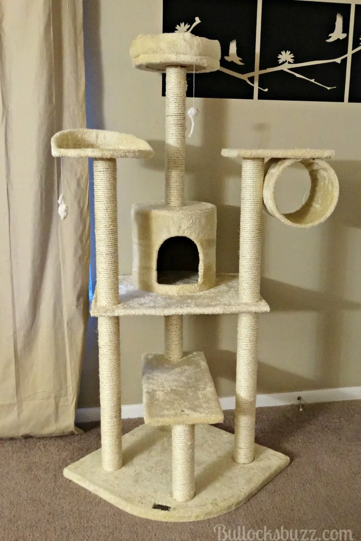 cozy cat furniture front view