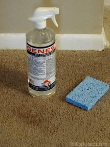 Genesis 950: Environmentally Friendly All Purpose Cleaner - Bullock's Buzz