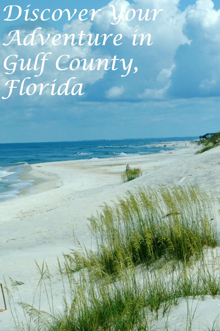 gulf county, florida beach scene