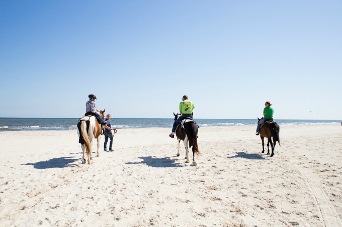 gulf county, florida horseback riding on beach
