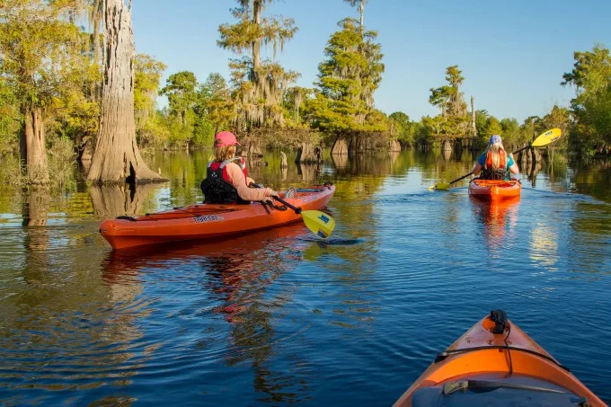 gulf county, florida kayaking