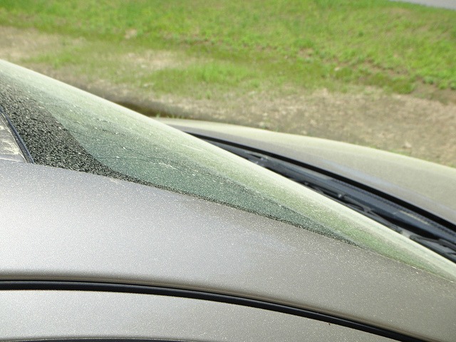 how to protect your car's paint job from pollen damage