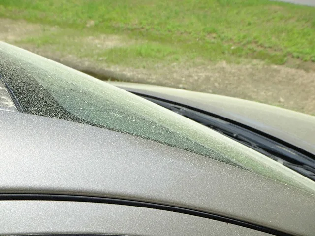 how to protect your car's paint job from pollen damage