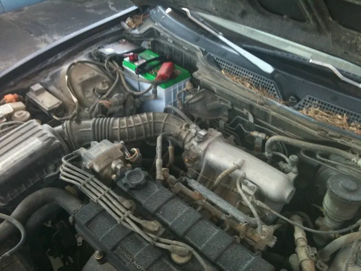 Is It Best To Take Your Car to the Dealership for Service