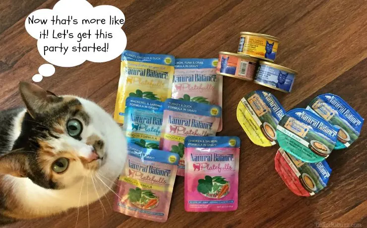 Natural balance discount cat food petsmart