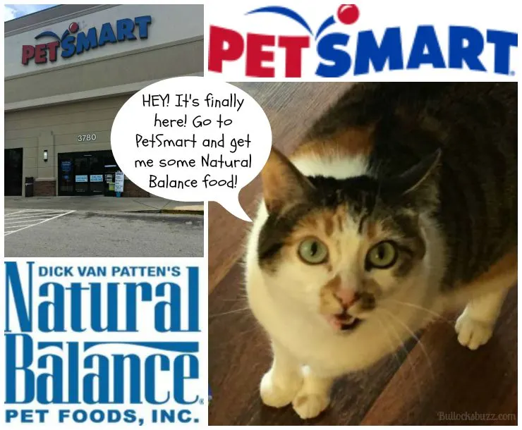 Natural balance shop cat food petsmart