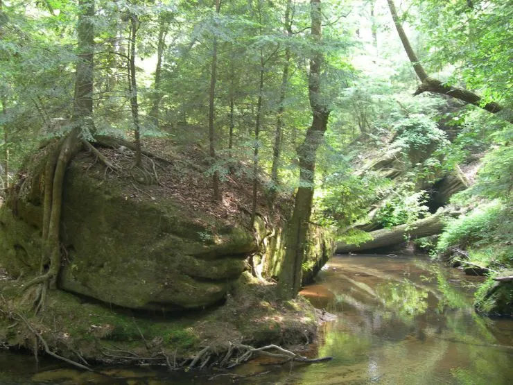 dismals canyon alabama rock and creek by Jimmy Emerson