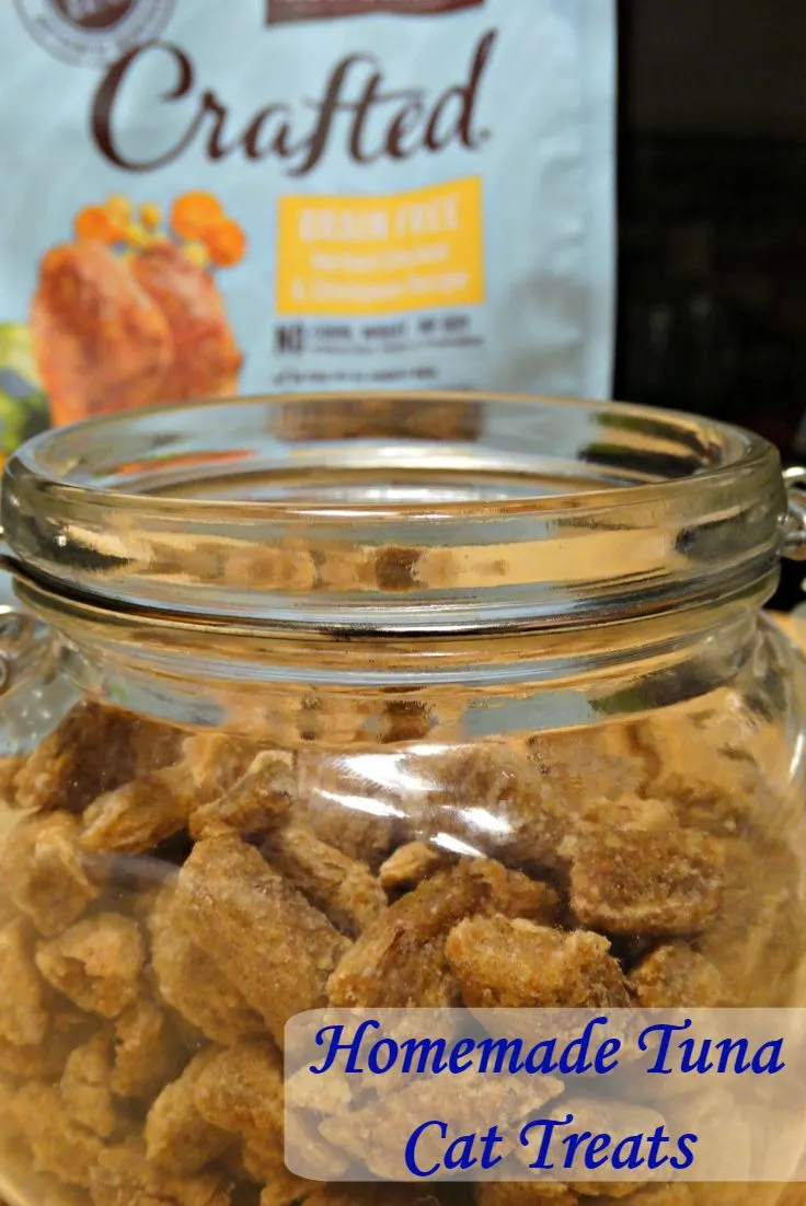 hills crafted cat food homemade cat food treats