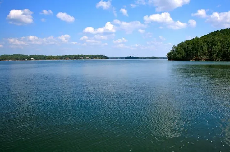 lake martin alabama by john coley