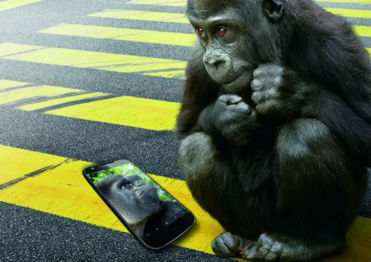 Gorilla Glass 4_Crosswalk_NoLogo