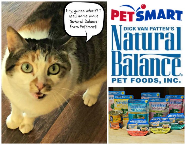 natural_balance_petsmart_main_image