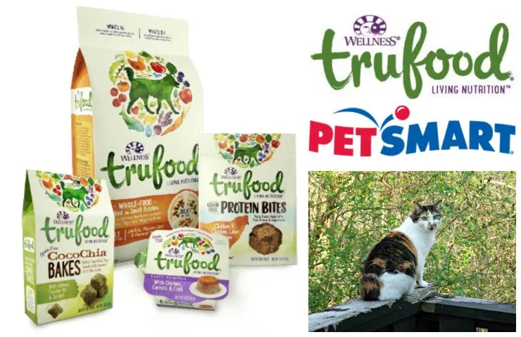 Petsmart best sale pet food