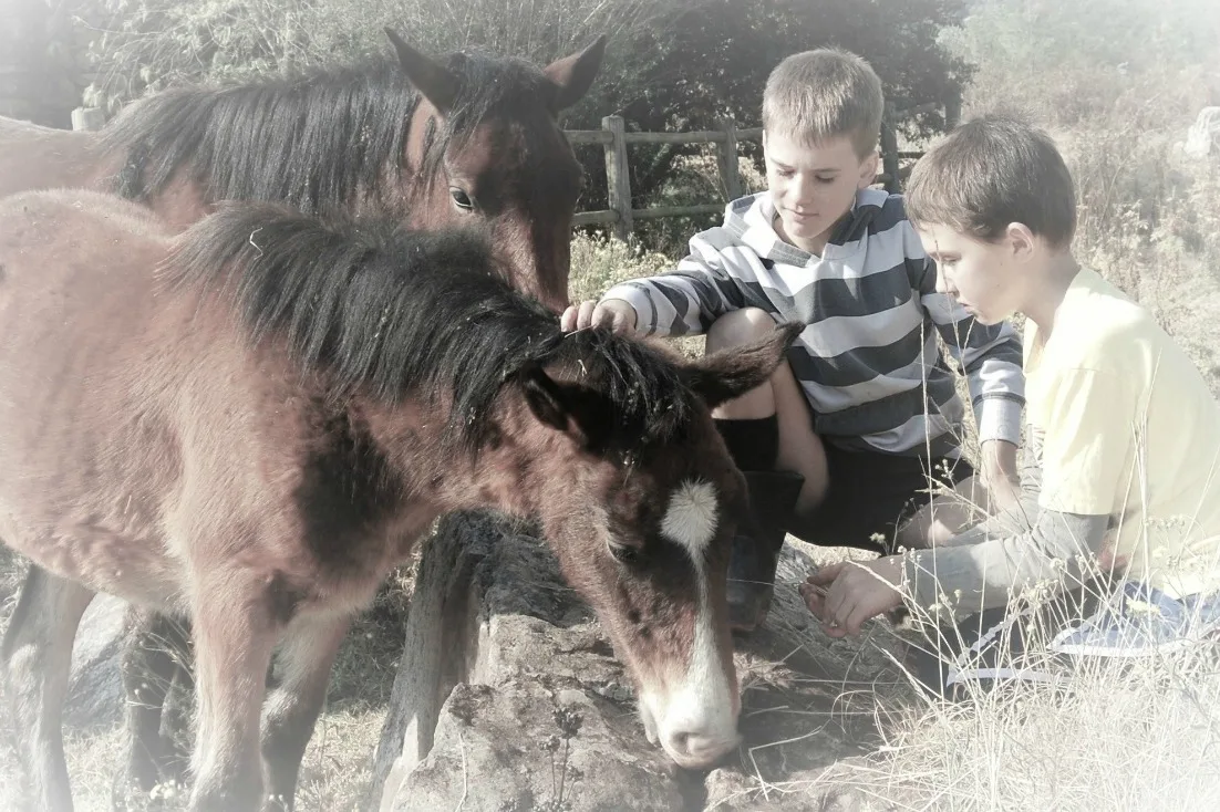 fun outdoor family activities for spring visit a farm