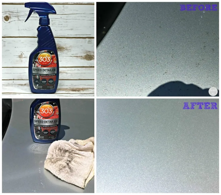 303 303 Protectant in Auto Detailing & Car Care 