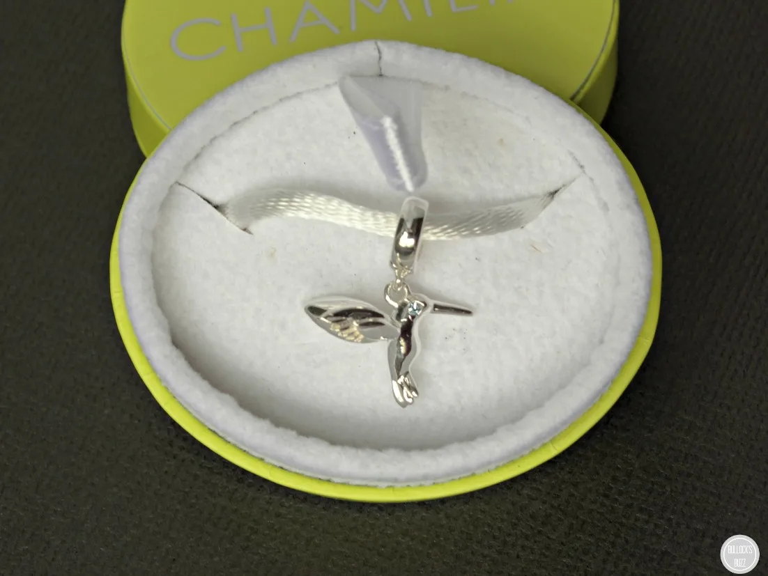 chamilia charm bracelets hummingbird charm in box close up