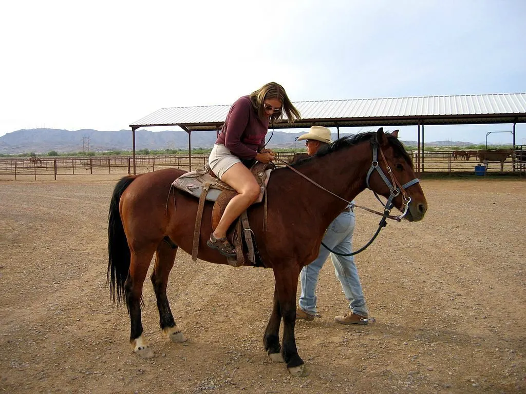 perfect present ideas for animal-lovers horseback riding