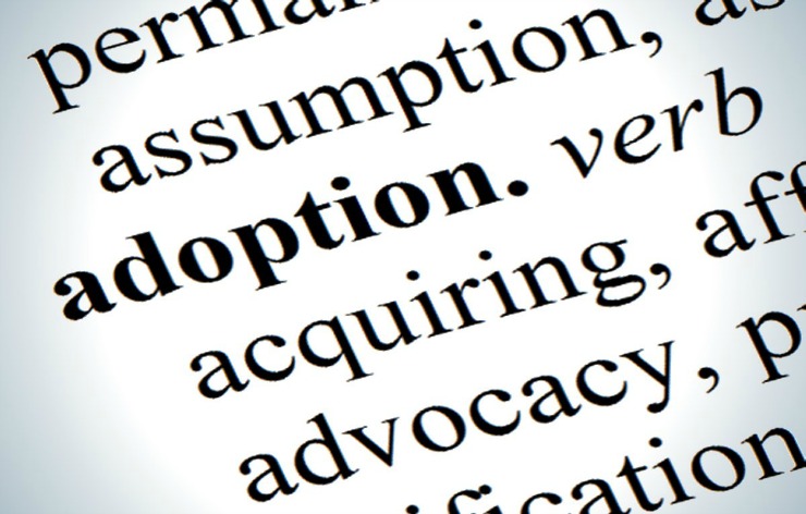 Options for Giving Up Your Baby for Adoption1a