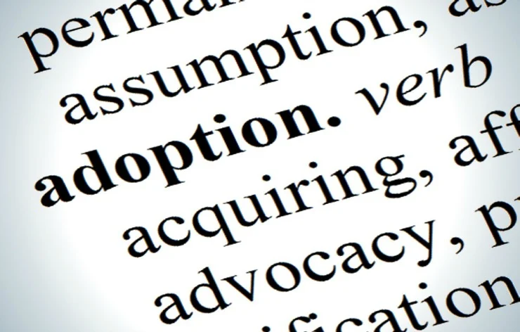 Options for Giving Up Your Baby for Adoption1a