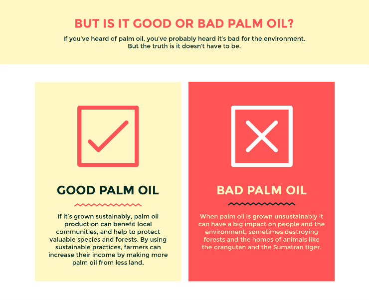 palm oil is it good palm oil or bad palm oil