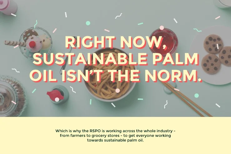 palm oil sustainable palm oil isnt the norm