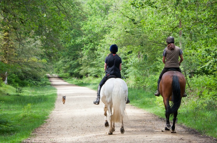 why you should buy your daughter a horse exercise